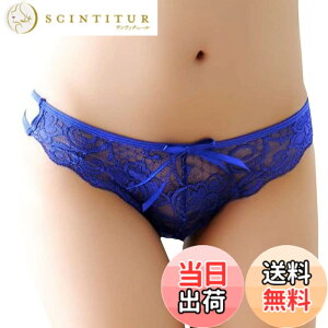 �y���������zBUZZxSELECTION(�o�Y �Z���N�V����) ���f�B�[�X ���[�X �Z�N�V�[ �ԕ� �V���[�c ���� �p���c �����W�F���[ TV125 �F�F04�u���[�A�T�C�Y�FFree Size