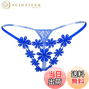 �y���������zBUZZxSELECTION(�o�Y �Z���N�V����) ���f�B�[�X T�o�b�N ���[�X �R�p�� �Z�N�V�[ ���� �V���[�c �p���c �����W�F���[ TV136 �F�F06 �u���[�A�T�C�Y�FFree Size