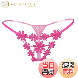 �y���������zBUZZxSELECTION(�o�Y �Z���N�V����) ���f�B�[�X T�o�b�N ���[�X �R�p�� �Z�N�V�[ ���� �V���[�c �p���c �����W�F���[ TV136 �F�F05 ���[�Y�A�T�C�Y�FFree Size