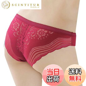 【送料無料】BUZZxSELECTION(バズ セレクション) ショーツ レース シームレス パンツ 下着 セクシー レディース TV142 色：ワイン、サイズ：Free Size