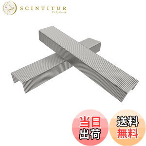 �y���������zRAYSOONER �z�b�`�L�X�j �w�r�[�f���[�e�B�d���z�b�`�L�X�j ��13mm �j��6/8/10mm 2-3�� ���v2000-3000�{ �T�C�Y�F23/6