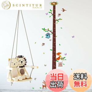 �y���������zZARROUEA �g���v �E�H�[���X�e�b�J�[ ������� �� �t���� ���� ���� �� �� �� �q�� �g�� �� �E�H�[���X�e�b�J�[ �t�F�U�[ �q�ǂ��g���v �ǎ��V�[�� �͂����� ������� �k�� wall sti