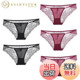 【送料無料】[バズ セレクション] 下着 ショーツ 5枚セット ランジェリー レース シースルー セクシー レディース TVS05S138 色：Nセット、サイズ：Free Size