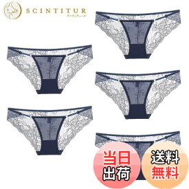 【送料無料】[バズ セレクション] 下着 ショーツ 5枚セット ランジェリー レース シースルー セクシー レディース TVS05S138 色：Dセット、サイズ：Free Size