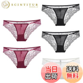 【送料無料】[バズ セレクション] 下着 ショーツ 5枚セット ランジェリー レース シースルー セクシー レディース TVS05S138 色：Jセット、サイズ：Free Size