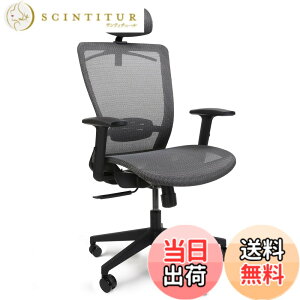 �y���������zFLEXISPOT �I�t�B�X�`�F�A �f�X�N�`�F�A OC3 ���@�\���� ���b�L���O�@�\ 3�i�K�Œ� 2D�w�b�h���X�g�t�� �A�[�����X�g�t�� �����o�[�T�|�[�g�t�� ���b�V�� �E���^���t�H�[�� �R�[�g