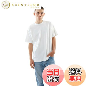 �y���������zHanes T�V���c ���� SHIRO ��100% �ۓ��d�l �^�O���X�d�l �w�C���YT�V���c���N���[�l�b�NT�V���c �A���_�[�E�F�A�����Y�A���_�[�E�F�A ���� ��100�� �ۓ��d�l �^�O���X�d�l 1P Hanes T-SH