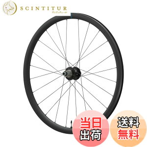 �y���������z�V�}�m�iSHIMANO�j GRX WH-RX880-TL-R12-700C DISC�`���[�u���X�z�C�[�� ���A�p�i12s�}�C�N���X�v���C���j EWHRX880LREDMS70 �F�F�u���b�N�A�T�C�Y�F��