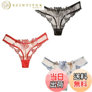 �y���������z[�o�Y �Z���N�V����] ���� T�o�b�N �V���[�c 3���Z�b�g �p���c �����W�F���[ �ԕ� �V�[�X���[ �Z�N�V�[ ���f�B�[�X TVS03TV175 �F�FI�Z�b�g�A�T�C�Y�FFree Size