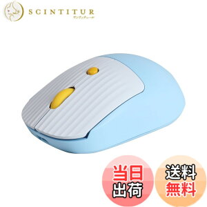 �y���������zDIGIBLUSKY ���� USB���C�����X�}�E�X �L�����N�^�[ �����}�E�X �q���p/�q������/�����p �d�r���}�E�X �E��p �É� 2.4GHz �����^�ѕ֗� Mac/Windows/Surface/Microsoft Pro�ɑΉ� �F�F�u���[