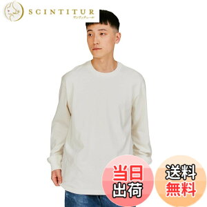�y���������zT�V���c ���� ��100% �ۓ��d�l �^�O���X�d�l 1P Hanes T-SHIRTS SHIRO �F�F�z���C�g�A�T�C�Y�FXL