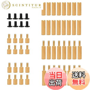 �y���������zGeekworm M2.5 �^�J�X�^���h�I�t/�l�W�p�b�N�ARaspberry Pi 5 & PCIe to M2 NVMe SSD �g���{�[�h�ɓK�p �T�C�Y�FM2.5 x 17mm, M2.5 x 15mm, M2.5 x 6mm, M2.5 x 5mm