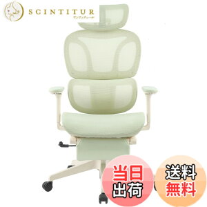 �y���������zFLEXISPOT �I�t�B�X�`�F�A �f�X�N�`�F�A C7 �l�ԍH�w �G���S�m�~�N�X�`�F�A ���b�V���`�F�A �Ɨ��^�����o�[�T�|�[�g ���N���C�j���O�\ �V���N�����b�L���O ���i�K�Œ� �O�X�`��