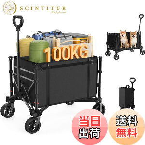 �y���������zRaynesys �L�����[���S�� �A�E�g�h�A���S�� �ω׏d100kg ��e��120L �L�����v�J�[�g �����^�b�`���� �܂��ݎ� �������[ �É� �L�����v/���l/�ނ�/���z��/������/�S�~�o�� ���[�J�o