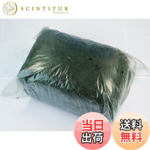 �y���������z�yGood in three directions�z500g �h���C���X �l�H�� ���A�� �v���U�[�u�h���X �C���e���A �t�F�C�N�O���[�� �O���[�����X �F�F�O���[���A�T�C�Y�F�ʏ�