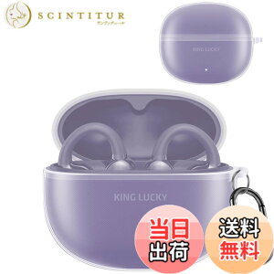 �y���������z�w�b�h�z���ی�P�[�X �F�F�N���A�A�T�C�Y�FKing Lucky �ی�P�[�X