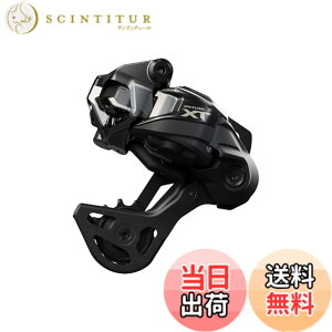 �y���������z�V�}�m�iSHIMANO�j DEORE XT ���A�f�B���C���[RD-M8250-GS Di2 12S 9-45T�Ή� ���o�b�e���ʔ��iDi2 �d�l�j 12�X�s�[�h IRDM8250GSB �F�F�V���[�Y�J���[�A�T�C�Y�FGS
