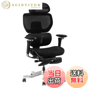 �y���������zFLEXISPOT �I�t�B�X�`�F�A �f�X�N�`�F�A C7 �l�ԍH�w �G���S�m�~�N�X�`�F�A ���b�V���`�F�A �X���C�h�o�b�N�@�\ �O�X�p���ɑΉ� �w������̍������� ��C�������o�[�T�|�[�g �S��