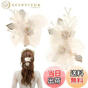�y���������zRoczential 2�_�Z�b�g ������ ������ �� �N���b�v �p�[�� �q�������� ���l�� ������� �a�� ���� �w�A�N���b�v ���\�� ���w�� ���Ǝ� �čՂ� ������ �w�A�A�N�Z�T���[ �F�F�p�[��