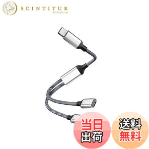 �y���������zType C �ϊ� �A�_�v�^ USB-C�I�X����2 USB-C���X�P�[�u�� OTG �P�[�u�� �i�C�����҂� �f�����ɂ��� Type C �W���b�N�A�_�v�^ �ʘb/���ʒ��ߑΉ� i-Pad�V���[�Y/Android�Ȃ�C�^�C�v���ڂ̋@