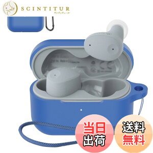 �y���������zSOUNDPEATS GoFree2 �P�[�X �F�F�u���[(final ZE300)�A�T�C�Y�Ffinal (�t�@�C�i��) ZE300 �ی�J�o�[