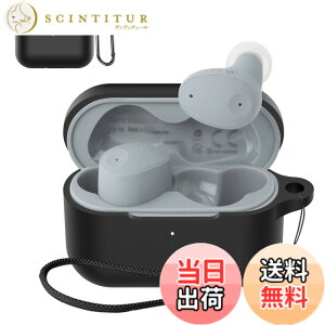 �y���������zSOUNDPEATS GoFree2 �P�[�X �F�F�u���b�N(final ZE300)�A�T�C�Y�Ffinal (�t�@�C�i��) ZE300 �ی�J�o�[