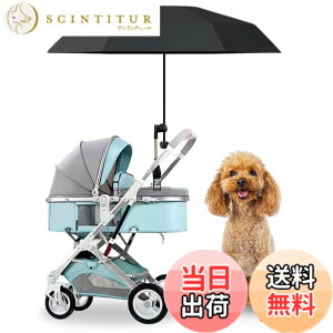 �y���������zSALUDABLE �� �J�[�g ���P �o�M�[ �P�z���_�[ �x�r�[�J�[ ������ �L�����[�J�[�g �y�b�g (�u���b�N) �F�F�u���b�N