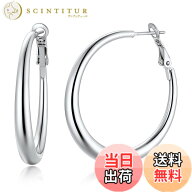 【送料無料】Richsteel フープピアス レディース 大きめ リングピアス 金属アレルギー対応 ステンレス 大…