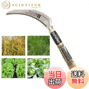 �y���������z�L��(HOUNEN) �X�e�����X��2���|���� ���ʖ�(�X�^���_�[�h�^�C�v) HTS-1210