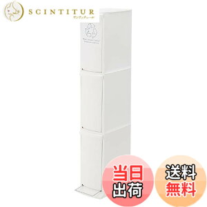 �y���������zAZUMAYA �_�X�g�{�b�N�X �F�F�z���C�g�A�T�C�Y�F3D