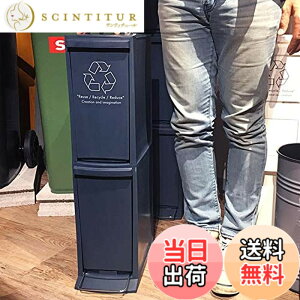 �y���������zAZUMAYA �_�X�g�{�b�N�X �F�F�l�C�r�[�A�T�C�Y�F2D