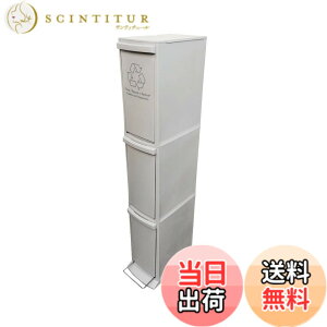 �y���������zAZUMAYA �_�X�g�{�b�N�X �F�F�O���[�A�T�C�Y�F3D