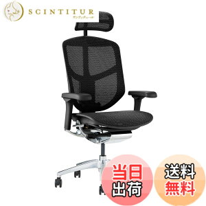 �y���������z�G���S�q���[�}��2(ergohuman2) �I�t�B�X�`�F�A ENJOY �G���W���C �F�F���b�V��:�u���b�N / �t���[��:�u���b�N�A�T�C�Y�F�n�C�^�C�v