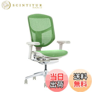 �y���������z�G���S�q���[�}��2(ergohuman2) �I�t�B�X�`�F�A ENJOY �G���W���C �F�F���b�V��:�O���[�� / �t���[��:�O���[�A�T�C�Y�F���[�^�C�v