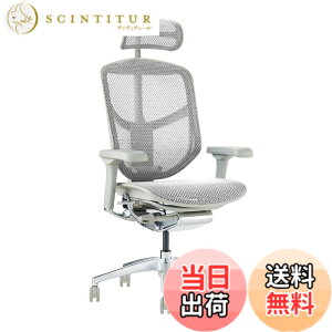 �y���������z�G���S�q���[�}��2(ergohuman2) �I�t�B�X�`�F�A ENJOY �G���W���C �F�F���b�V��:�O���[ / �t���[��:�O���[�A�T�C�Y�F�n�C�^�C�v