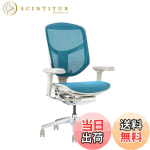 �y���������z�G���S�q���[�}��2(ergohuman2) �I�t�B�X�`�F�A ENJOY �G���W���C �F�F���b�V��:�O���[ / �t���[��:�O���[�A�T�C�Y�F���[�^�C�v