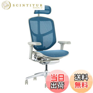 �y���������z�G���S�q���[�}��2(ergohuman2) �I�t�B�X�`�F�A ENJOY �G���W���C �F�F���b�V��:�u���[ / �t���[��:�O���[�A�T�C�Y�F�n�C�^�C�v