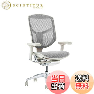 �y���������z�G���S�q���[�}��2(ergohuman2) �I�t�B�X�`�F�A ENJOY �G���W���C �F�F���b�V��:�z���C�g / �t���[��:�O���[�A�T�C�Y�F���[�^�C�v