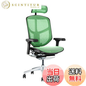 �y���������z�G���S�q���[�}��2(ergohuman2) �I�t�B�X�`�F�A ENJOY �G���W���C �F�F���b�V��:�O���[�� / �t���[��:�u���b�N�A�T�C�Y�F�n�C�^�C�v