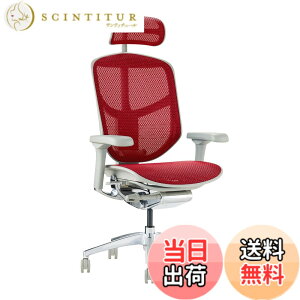 �y���������z�G���S�q���[�}��2(ergohuman2) �I�t�B�X�`�F�A ENJOY �G���W���C �F�F���b�V��:���b�h / �t���[��:�O���[�A�T�C�Y�F�n�C�^�C�v