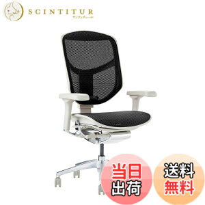 �y���������z�G���S�q���[�}��2(ergohuman2) �I�t�B�X�`�F�A ENJOY �G���W���C �F�F���b�V��:�u���b�N / �t���[��:�O���[�A�T�C�Y�F���[�^�C�v