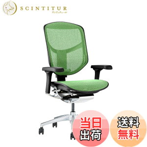 �y���������z�G���S�q���[�}��2(ergohuman2) �I�t�B�X�`�F�A ENJOY �G���W���C �F�F���b�V��:�O���[�� / �t���[��:�u���b�N�A�T�C�Y�F���[�^�C�v