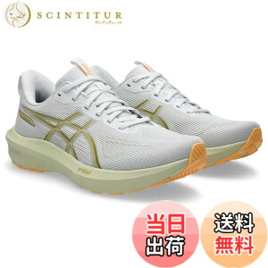 �y���������zasics(�A�V�b�N�X) �����Y GT-1000 14�����j���O�V���[�Y �F�F100(�z���C�g/�������O���X)�A�T�C�Y�F29.0 cm 2E