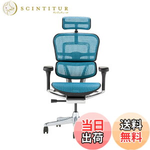 �y���������z�G���S�q���[�}��2(Ergohuman2) �I�t�B�X�`�F�A �F�F�t���[��:BLACK / ���b�V��:BLUE�A�T�C�Y�F�n�C�^�C�v