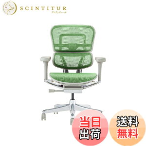 �y���������z�G���S�q���[�}��2(Ergohuman2) �I�t�B�X�`�F�A �F�F�t���[��:GRAY / ���b�V��:GREEN�A�T�C�Y�F���[�^�C�v