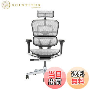 �y���������z�G���S�q���[�}��2(Ergohuman2) �I�t�B�X�`�F�A �F�F�t���[��:BLACK / ���b�V��:WHITE�A�T�C�Y�F�n�C�^�C�v