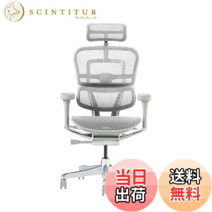 �y���������z�G���S�q���[�}��2(Ergohuman2) �I�t�B�X�`�F�A �F�F�t���[��:GRAY/ ���b�V��:WHITE�A�T�C�Y�F�n�C�^�C�v