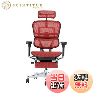 �y���������z�G���S�q���[�}��2(Ergohuman2) �I�t�B�X�`�F�A �F�F�t���[��:BLACK / ���b�V��:RED�A�T�C�Y�F�n�C�^�C�v�E�I�b�g�}������