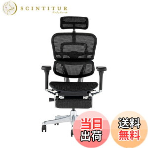 �y���������z�G���S�q���[�}��2(Ergohuman2) �I�t�B�X�`�F�A �F�F�t���[��:BLACK / ���b�V��:BLACK�A�T�C�Y�F�n�C�^�C�v�E�I�b�g�}������