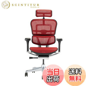 �y���������z�G���S�q���[�}��2(Ergohuman2) �I�t�B�X�`�F�A �F�F�t���[��:BLACK / ���b�V��:RED�A�T�C�Y�F�n�C�^�C�v